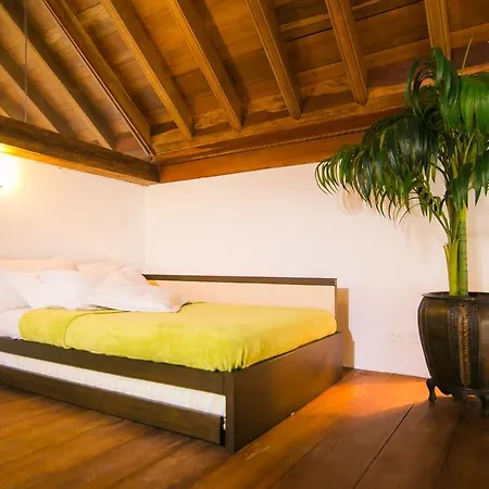 Apartamento Casa Del Virrey Eslava *